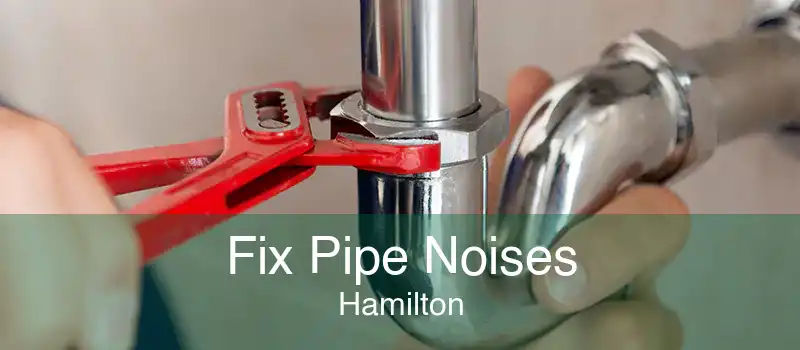 Fix Pipe Noises Hamilton
