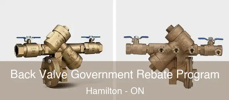  Back Valve Government Rebate Program Hamilton - ON