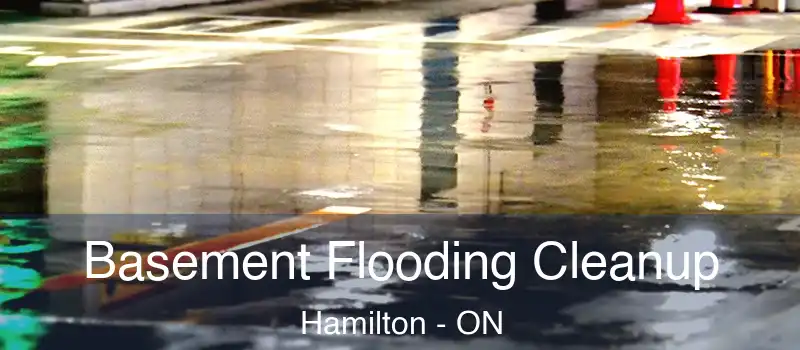  Basement Flooding Cleanup Hamilton - ON