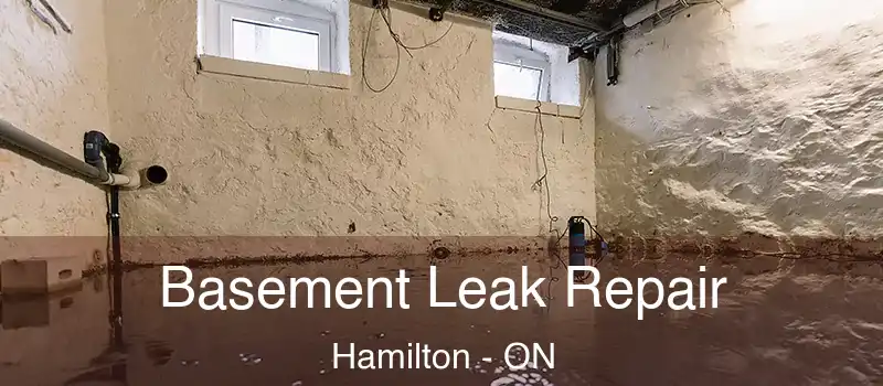  Basement Leak Repair Hamilton - ON