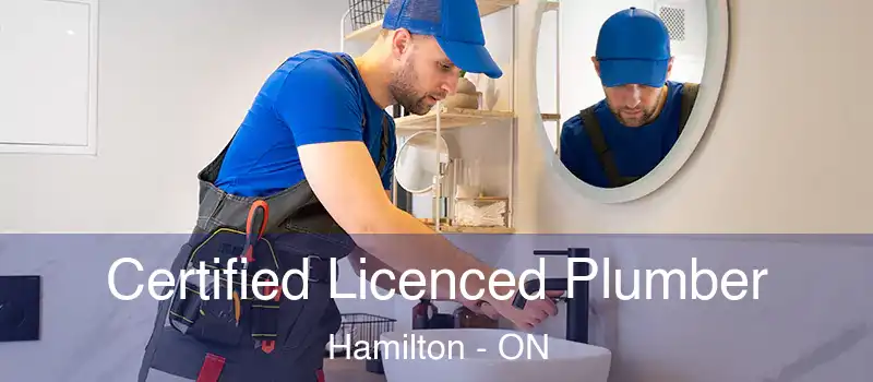  Certified Licenced Plumber Hamilton - ON