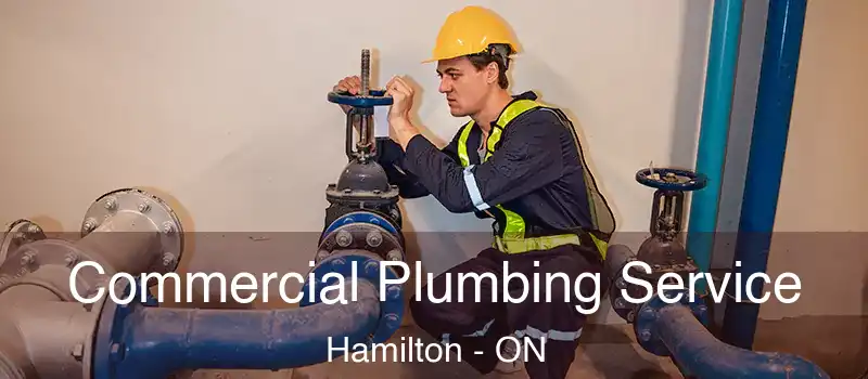  Commercial Plumbing Service Hamilton - ON