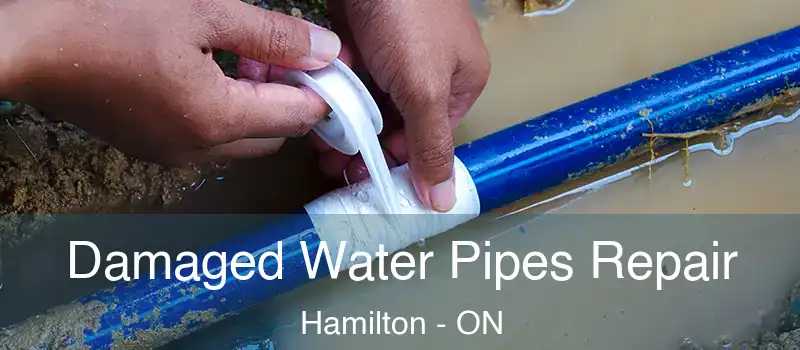  Damaged Water Pipes Repair Hamilton - ON