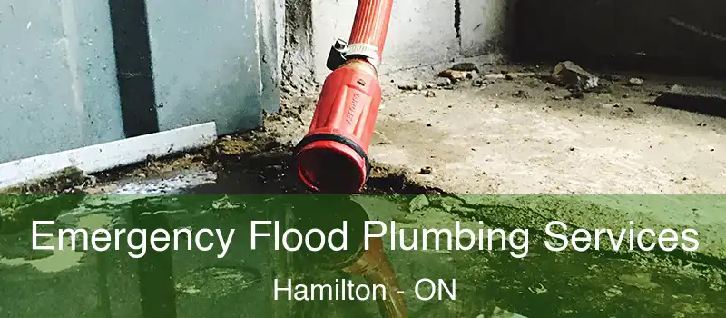  Emergency Flood Plumbing Services Hamilton - ON