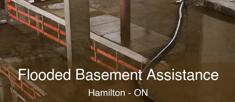  Flooded Basement Assistance Hamilton - ON