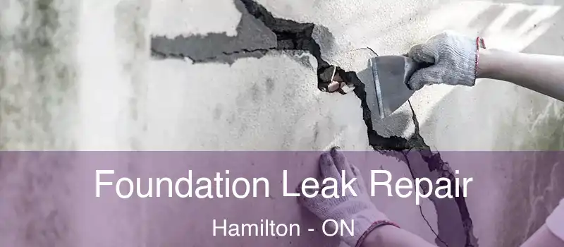  Foundation Leak Repair Hamilton - ON