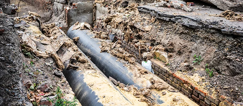 Commercial Sewer Tree Roots Damage Solutions in Hamilton, ON
