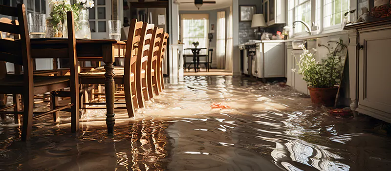 Flooded House Help Near Me in Hamilton, Ontario