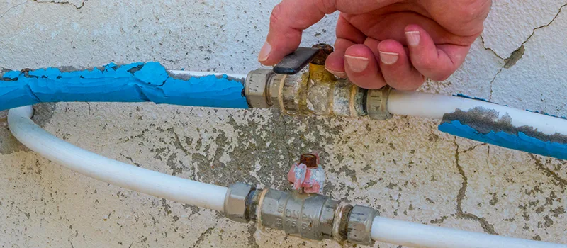 Ceiling Water Damage Repair in Hamilton, Ontario