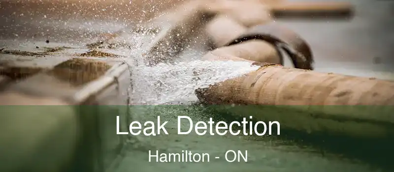 Leak Detection Hamilton - ON