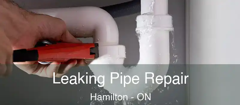  Leaking Pipe Repair Hamilton - ON