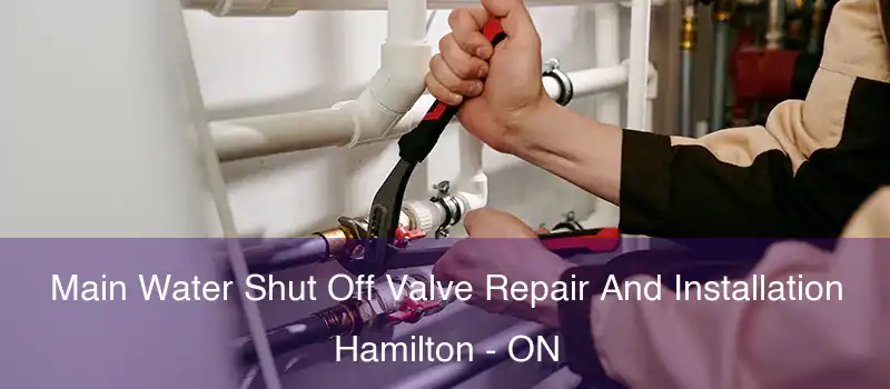  Main Water Shut Off Valve Repair And Installation Hamilton - ON