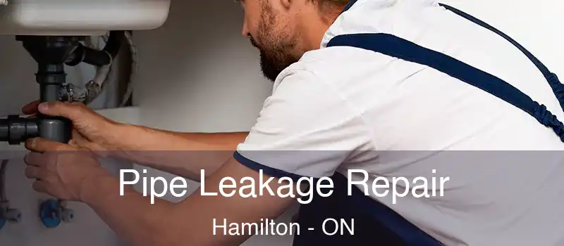  Pipe Leakage Repair Hamilton - ON