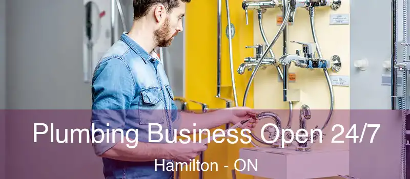  Plumbing Business Open 24/7 Hamilton - ON