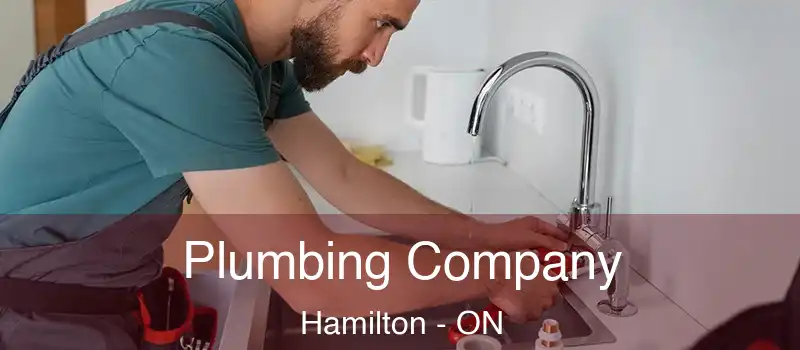  Plumbing Company Hamilton - ON