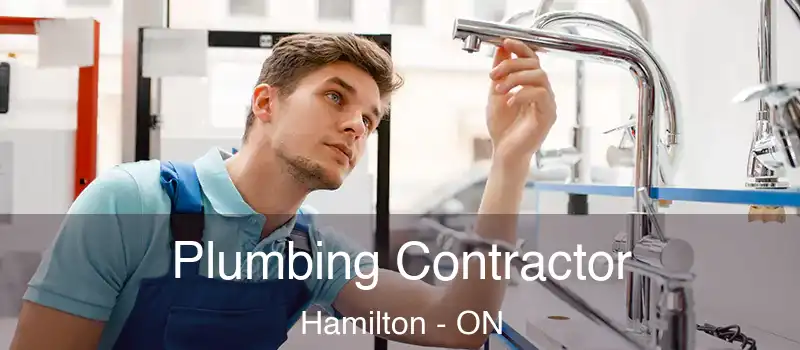  Plumbing Contractor Hamilton - ON