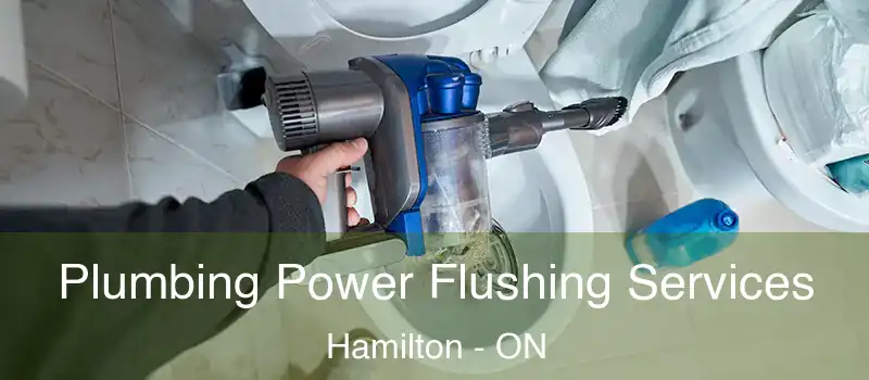  Plumbing Power Flushing Services Hamilton - ON