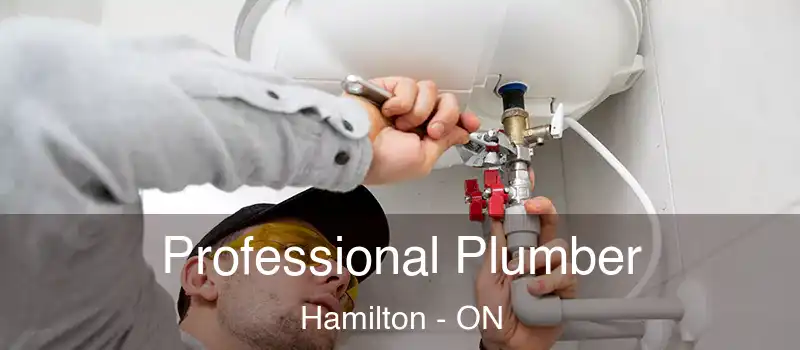  Professional Plumber Hamilton - ON