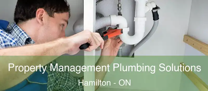  Property Management Plumbing Solutions Hamilton - ON