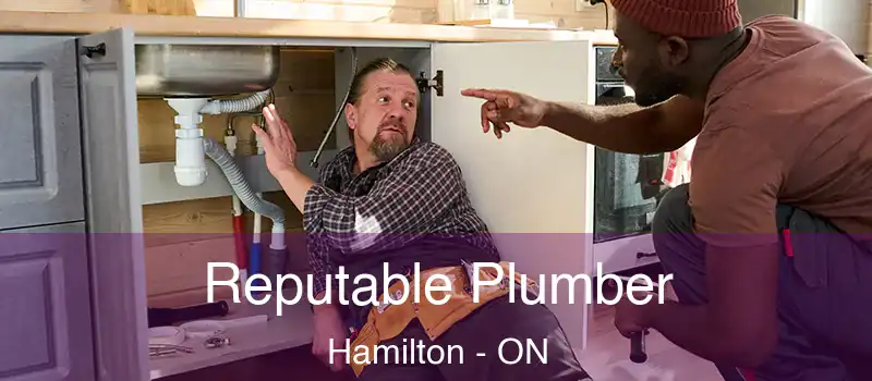  Reputable Plumber Hamilton - ON
