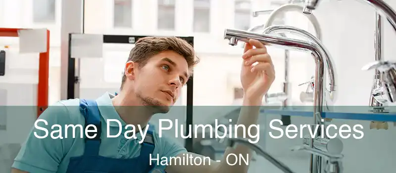  Same Day Plumbing Services Hamilton - ON