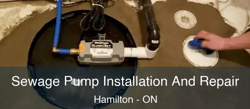  Sewage Pump Installation And Repair Hamilton - ON