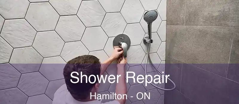  Shower Repair Hamilton - ON