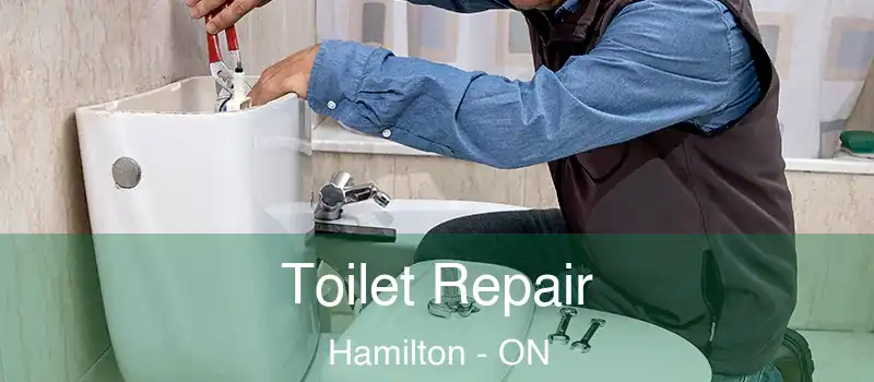  Toilet Repair Hamilton - ON