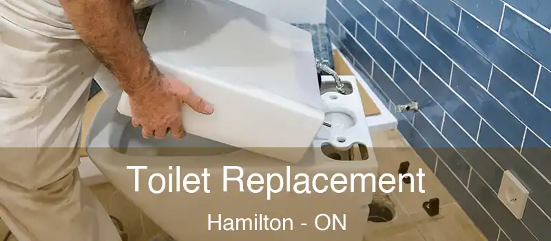  Toilet Replacement Hamilton - ON