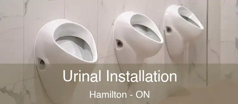  Urinal Installation Hamilton - ON