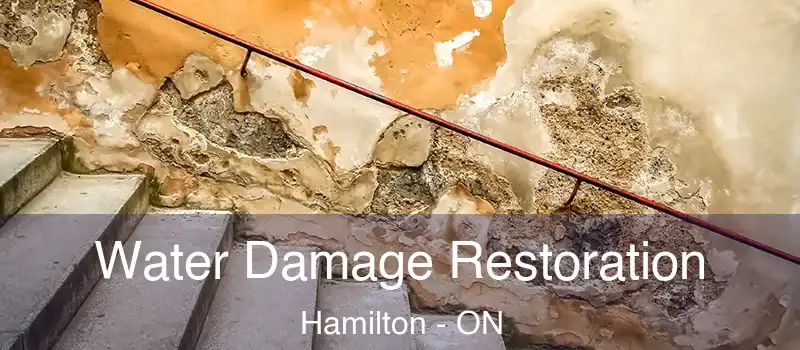  Water Damage Restoration Hamilton - ON