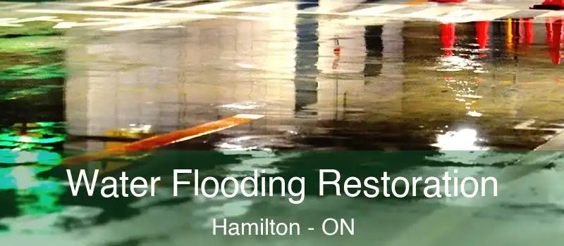  Water Flooding Restoration Hamilton - ON