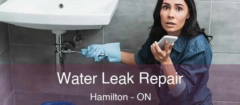  Water Leak Repair Hamilton - ON