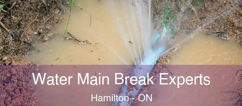  Water Main Break Experts Hamilton - ON