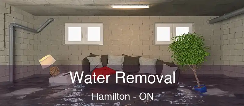  Water Removal Hamilton - ON