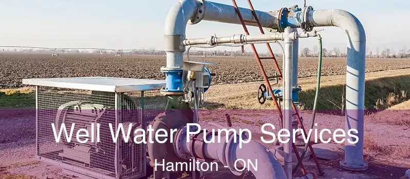  Well Water Pump Services Hamilton - ON
